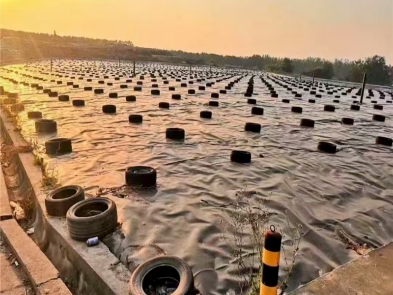 jual geomembrane tambak