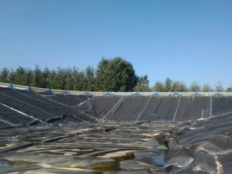 jual geomembrane tambak