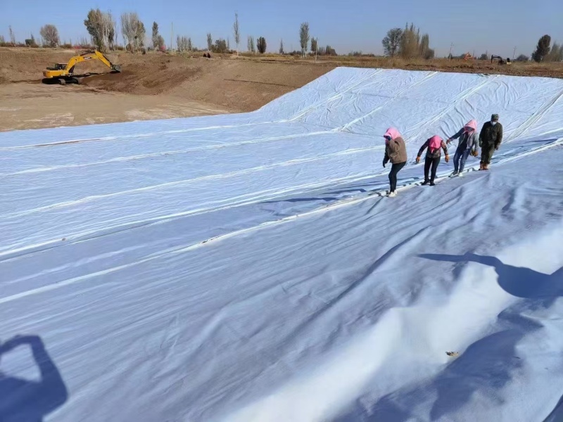 مشروع سد المخلفات في زامبيا